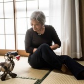 Người Nhật nuôi Robot làm thú cưng